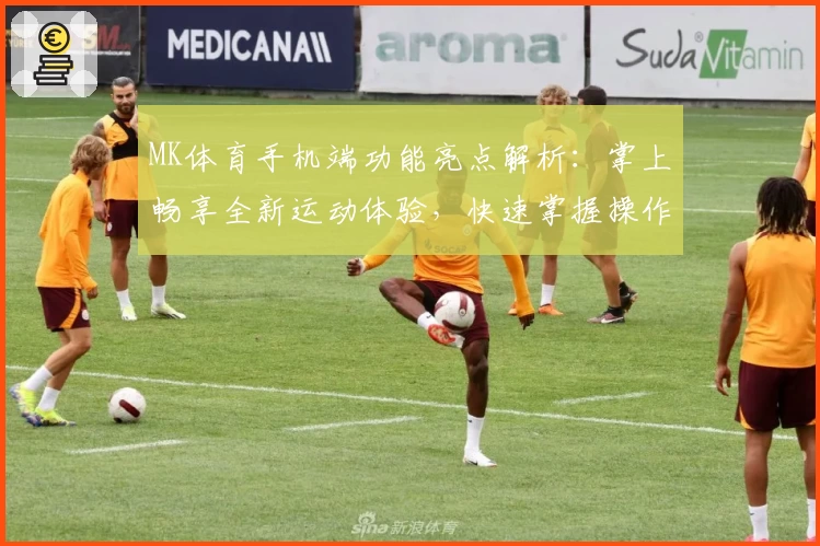 MK体育手机端功能亮点解析：掌上畅享全新运动体验，快速掌握操作技巧